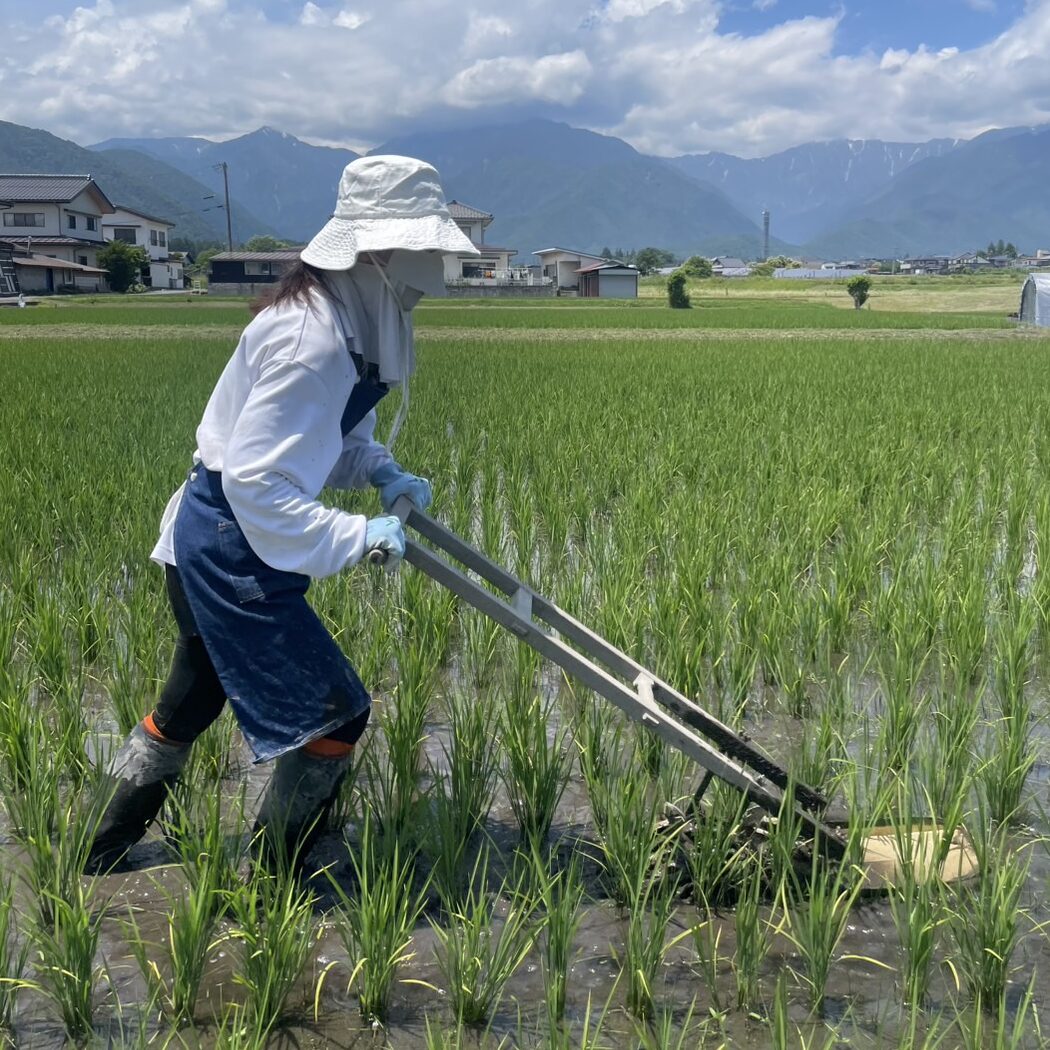 YAMAICHI